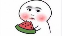 吃瓜有理报料无罪,揭秘网络舆论背后的真相